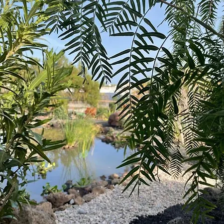 Διαμέρισμα Ocean View